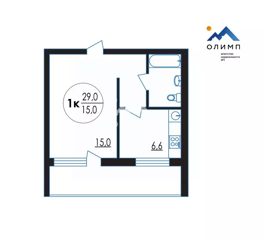 1-к кв. Вологодская область, пос. Федотово 25 (29.0 м) - Фото 1