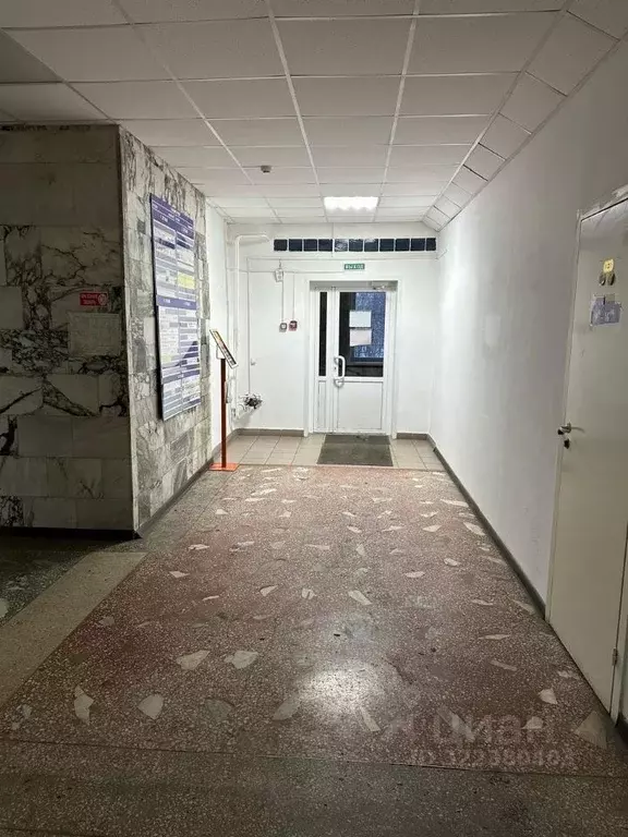 Офис в Алтайский край, Барнаул ул. Трактовая, 2Л (20 м) - Фото 1