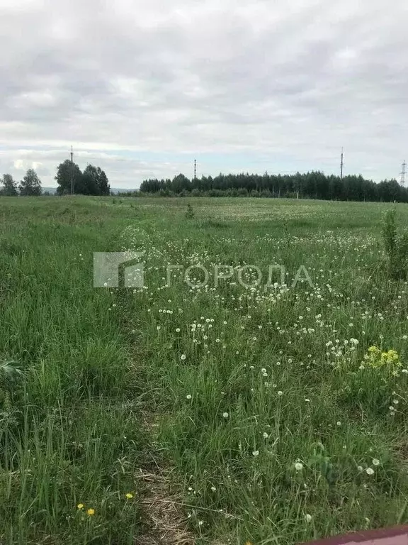 Участок в Кемеровская область, Новокузнецкий муниципальный округ, пос. ... - Фото 1