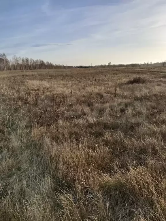 Участок 6 сот. (ИЖС) - Фото 0
