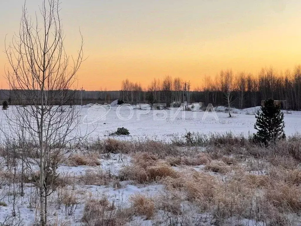 Участок в Тюменская область, Тюменский район, д. Пышминка  (12.2 сот.) - Фото 1