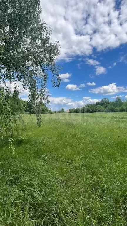 Участок 32,1 сот. (личное подсобное хозяйство (лпх)) - Фото 0