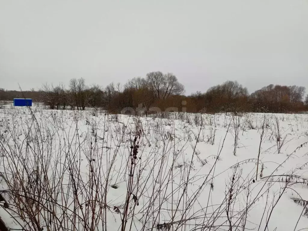 Участок в Калужская область, Бабынинский муниципальный округ, Утешево ... - Фото 1