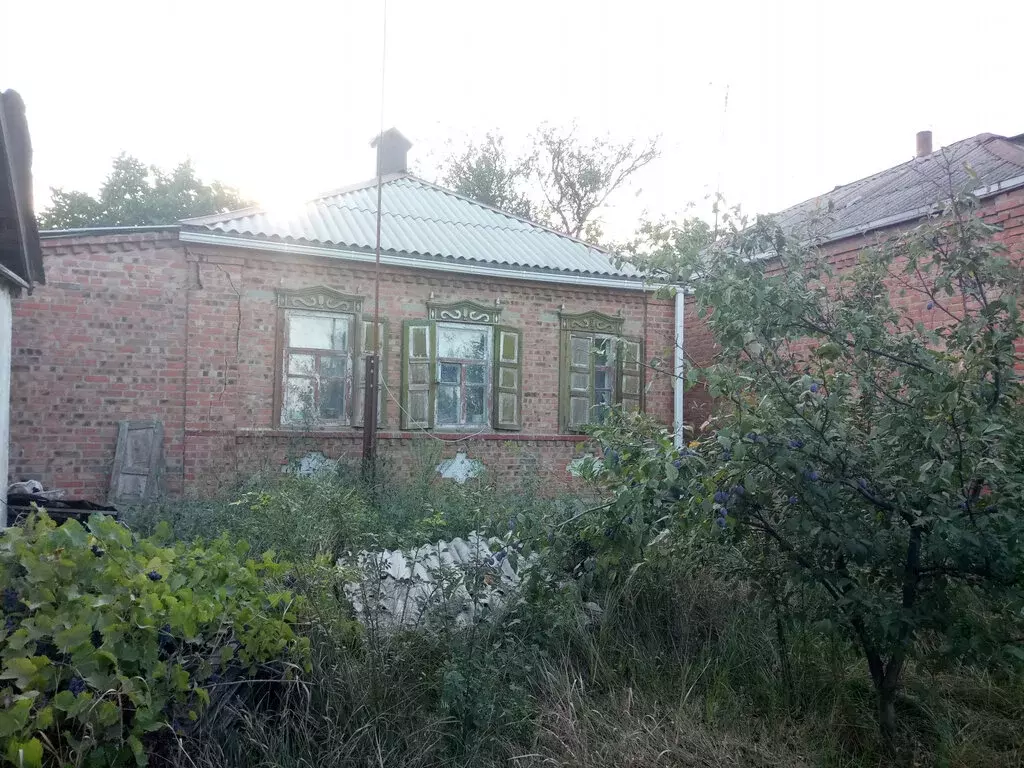 Дом в Ростовская область, станица Кагальницкая (75 м) - Фото 1