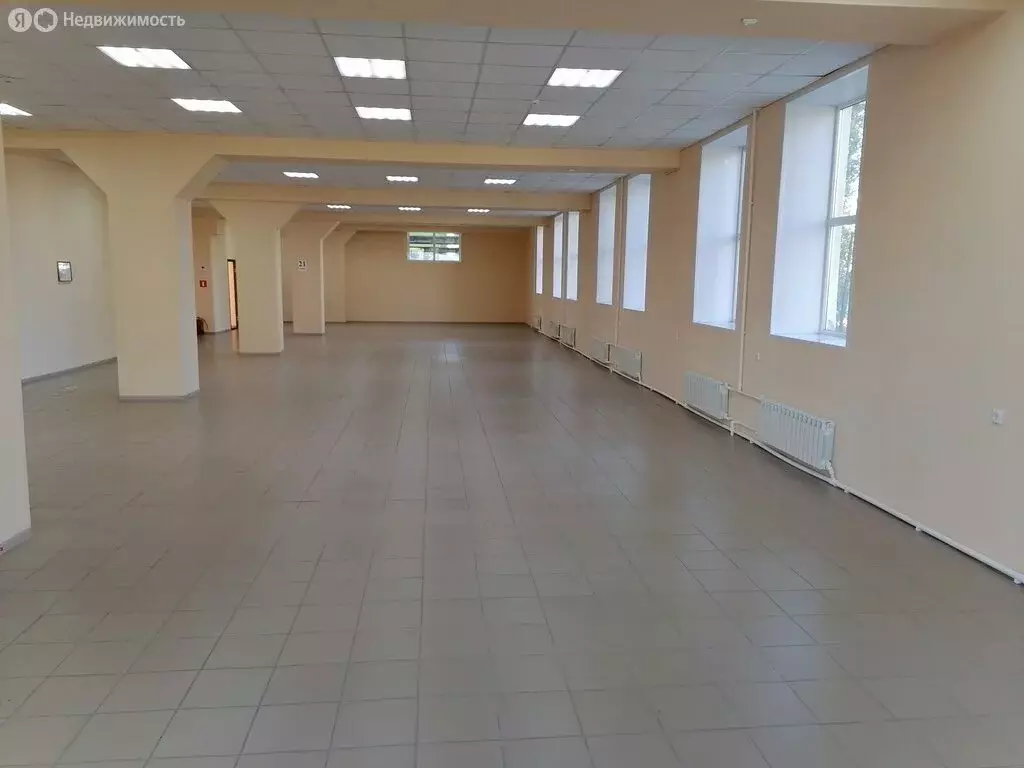 Помещение свободного назначения (255 м) - Фото 2