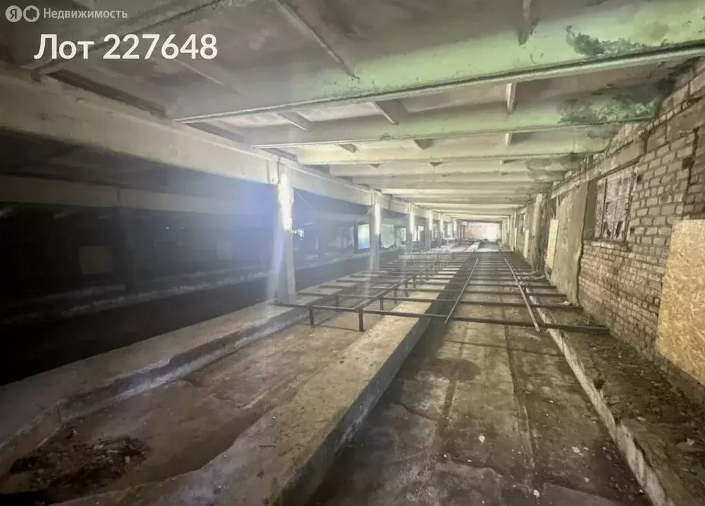 Помещение свободного назначения (1050 м) - Фото 1