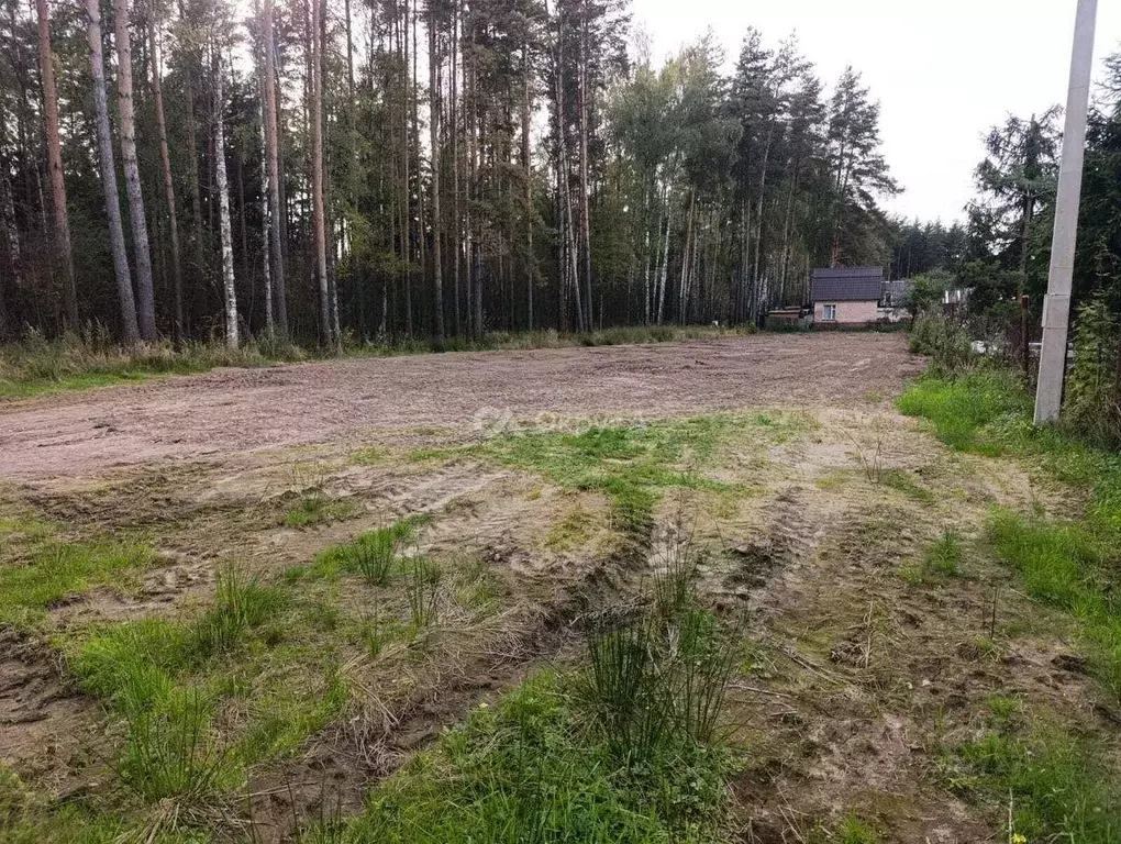 Участок, 10.7 сот., сельхоз (снт или днп) - Фото 1