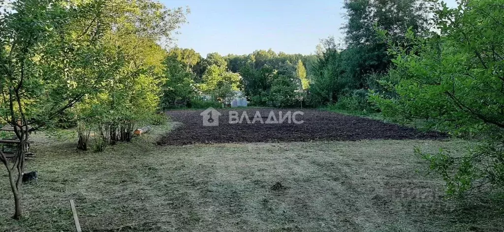 Участок в Владимирская область, Суздальский район, Новоалександровское ... - Фото 2