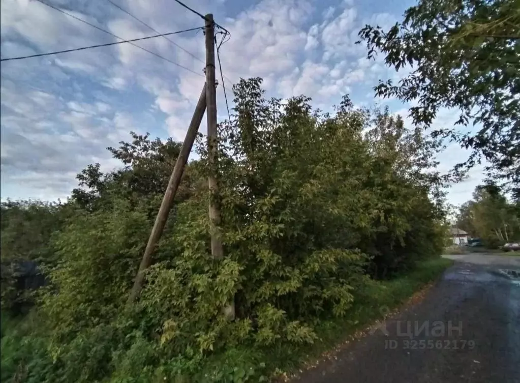 Дом в Свердловская область, Ирбитский район, пос. Зайково Камышловская ... - Фото 2