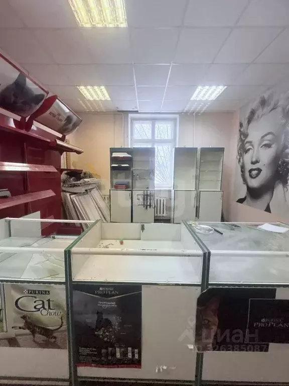 Помещение свободного назначения в Брянская область, Жуковка Лесная ... - Фото 2