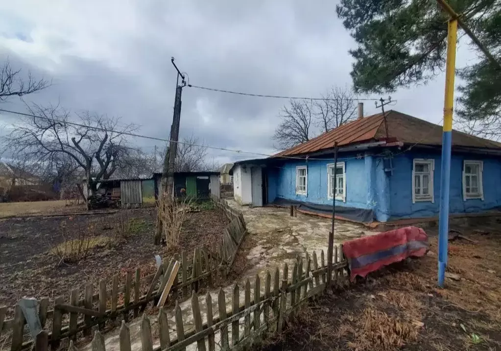 Дом в Курская область, Щигры Курская ул., 35 (41 м) - Фото 0