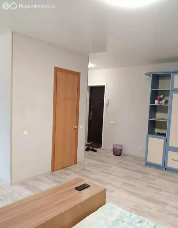 1-комнатная квартира: Благовещенск, улица Пушкина, 103 (32 м) - Фото 1