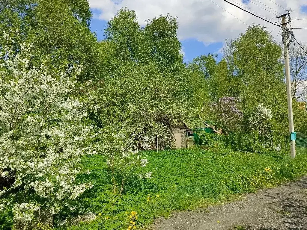 Участок в Санкт-Петербург, Санкт-Петербург, Колпино СДТ Ижорский ... - Фото 1