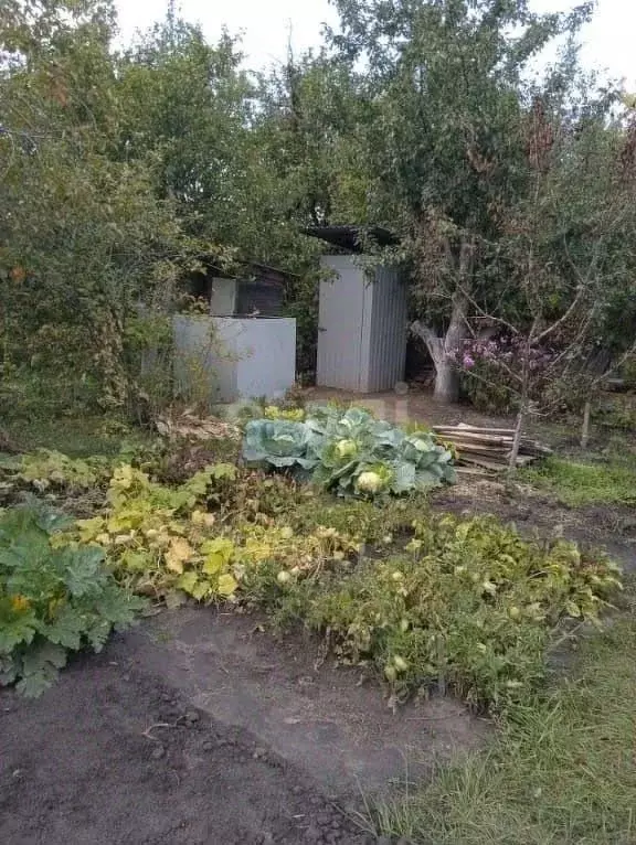 Дом в Ульяновская область, Ульяновск Вишневый Сад СНТ,  (20 м) - Фото 1