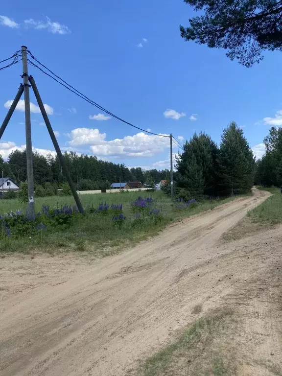 Участок в Вологодская область, Череповецкий район, д. Мышкино  (10.0 ... - Фото 2