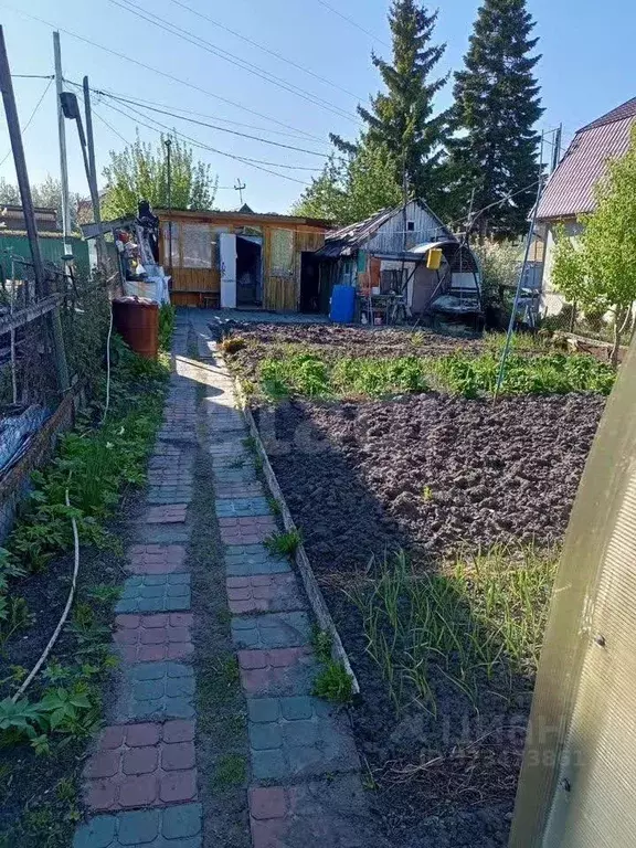 Участок в Тюменская область, Тюмень Ривьера садовое товарищество, ул. ... - Фото 2