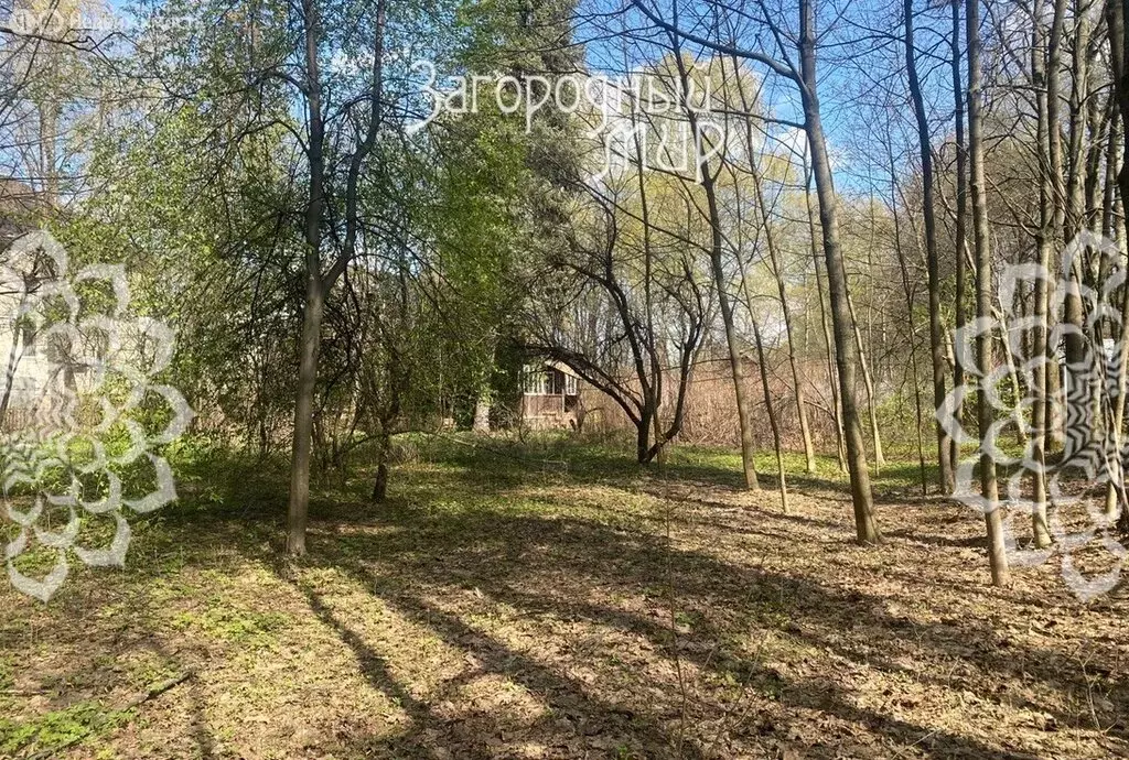 Участок в Балашиха, микрорайон Никольско-Архангельский, Разинское ... - Фото 1