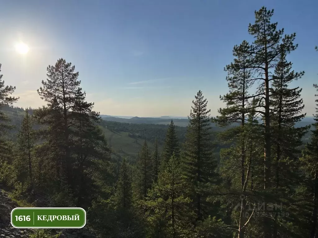 Участок в Алтай, Чемальский район, Элекмонарское с/пос, Седьмое Небо ... - Фото 2