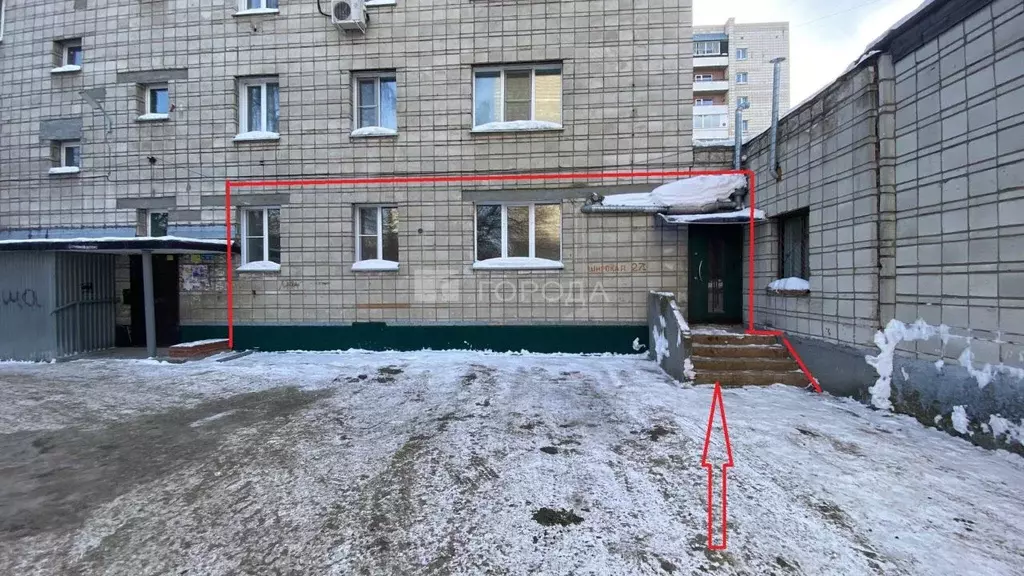 Помещение свободного назначения в Новосибирская область, Новосибирск ... - Фото 1