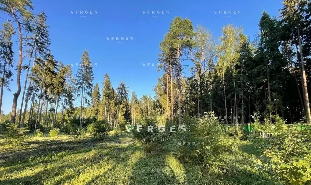 Участок в Московская область, Истра муниципальный округ, д. Чесноково, ... - Фото 2