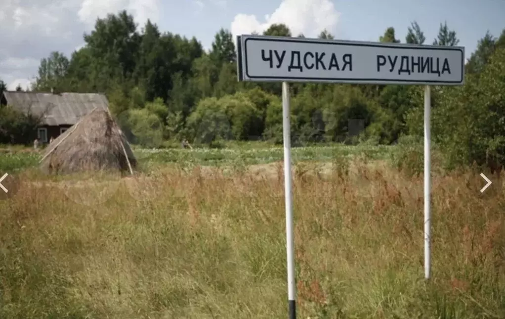 Участок 3,2 га (ИЖС) - Фото 1