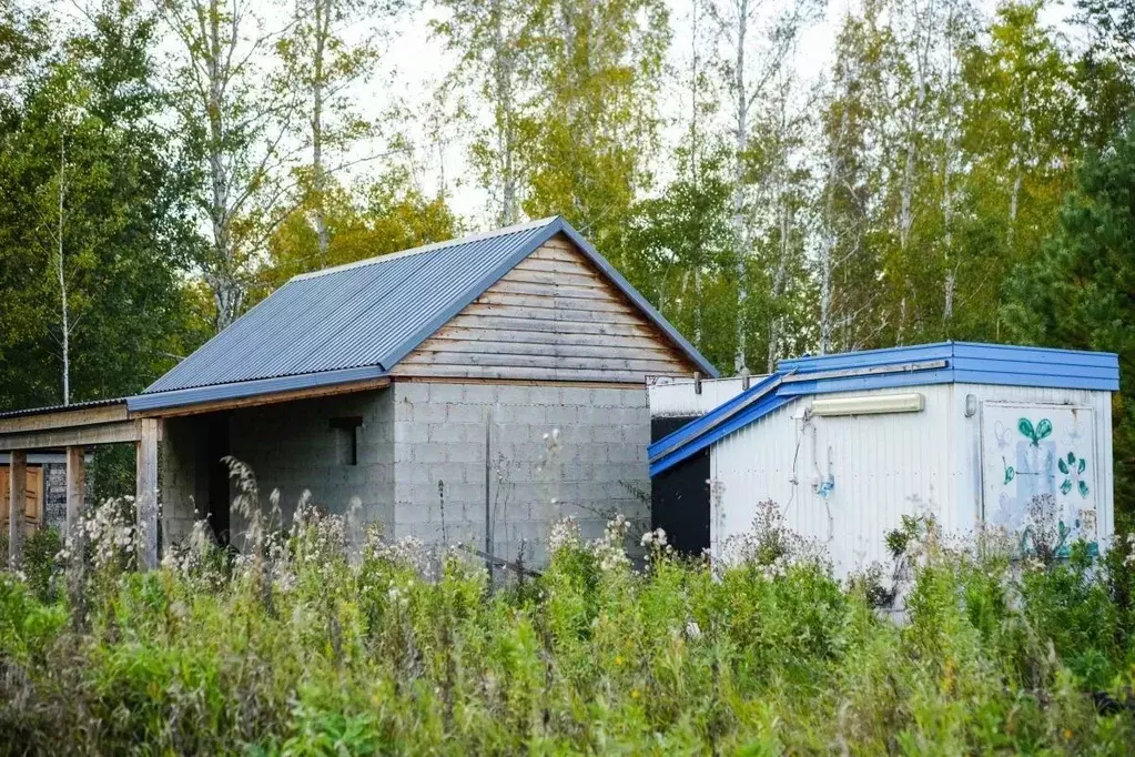 Участок в Омская область, Омское с/пос, д. Березянка, Изумрудный кп ... - Фото 2