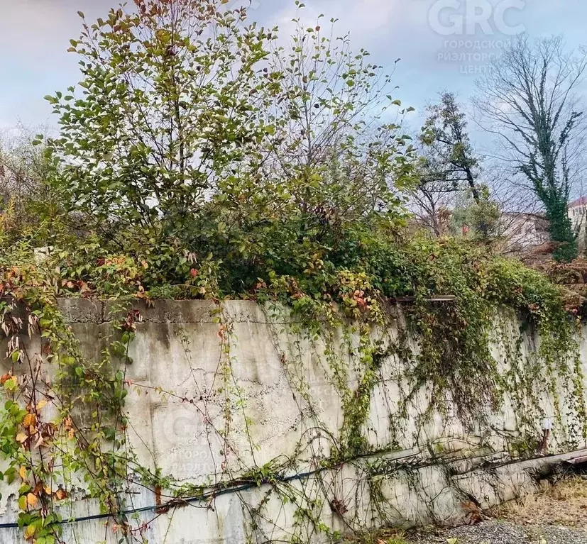 Участок в Краснодарский край, Сочи городской округ, с. Высокое ул. ... - Фото 2