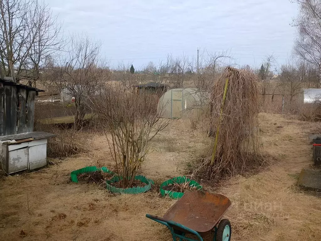 Дом в Новгородская область, Сольцы г. Солецкий муниципальный округ, ... - Фото 0