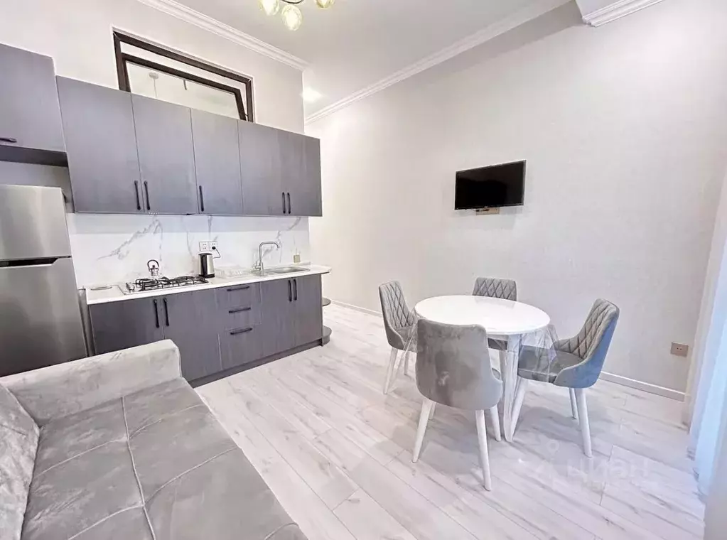 1-к кв. Краснодарский край, Сочи ул. Ленина, 219А/1к1 (30.0 м) - Фото 2