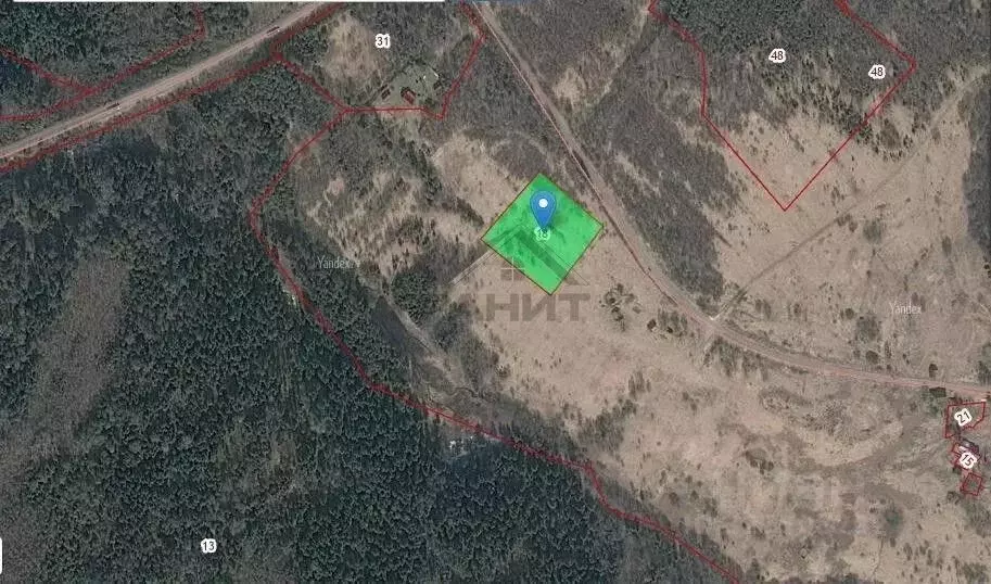 Участок в Новгородская область, Маловишерский район, Веребьинское ... - Фото 2