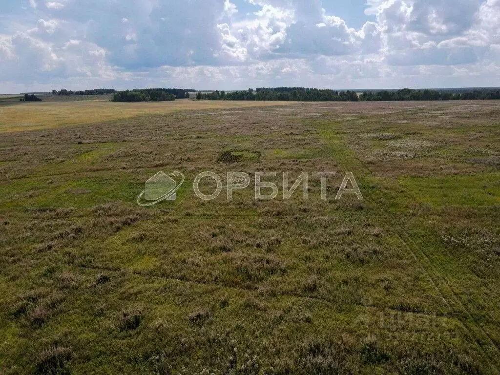 Участок в Тюменская область, Тюменский район, д. Большие Акияры  (8.62 ... - Фото 0