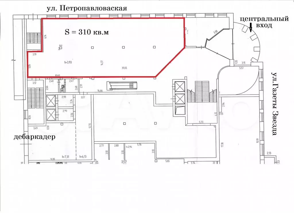 Свободного назначения, 310 м в ТЦ Звезда - Фото 0