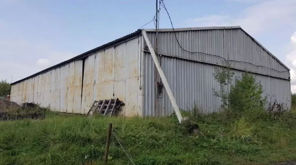 Склад в Санкт-Петербург Рощинская ул., 20 (750 м) - Фото 0