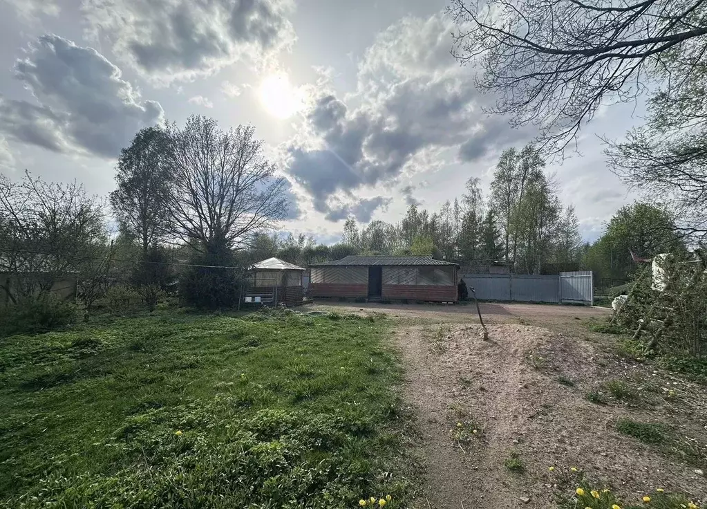 Дом в Ленинградская область, Выборг Дружба СНТ, ул. 5-я Дружная, 12 ... - Фото 2