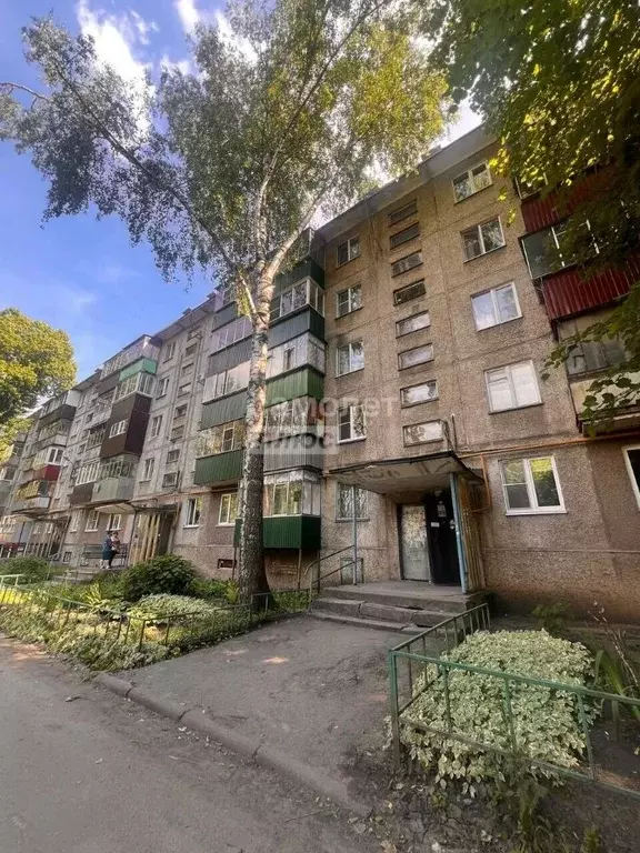 2-к кв. Липецкая область, Липецк Звездная ул., 8/2 (43.0 м) - Фото 1