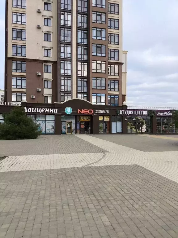 1-к кв. Крым, Симферопольский район, с. Мирное ул. Крымской Весны, ... - Фото 1