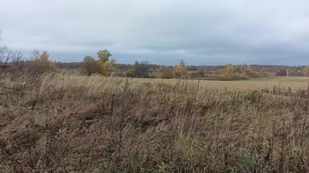 Участок в Московская область, Дмитровский муниципальный округ, д. ... - Фото 0