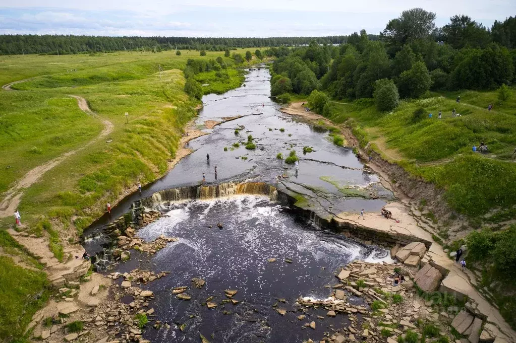 Участок в Ленинградская область, Никольское Тосненский район,  (6.0 ... - Фото 0