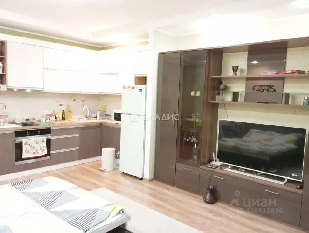 Студия Московская область, Жуковский ул. Гудкова, 22 (33.4 м) - Фото 2