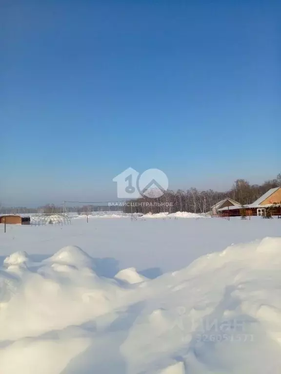 Участок в Новосибирская область, Мошковский район, Барлакский ... - Фото 2