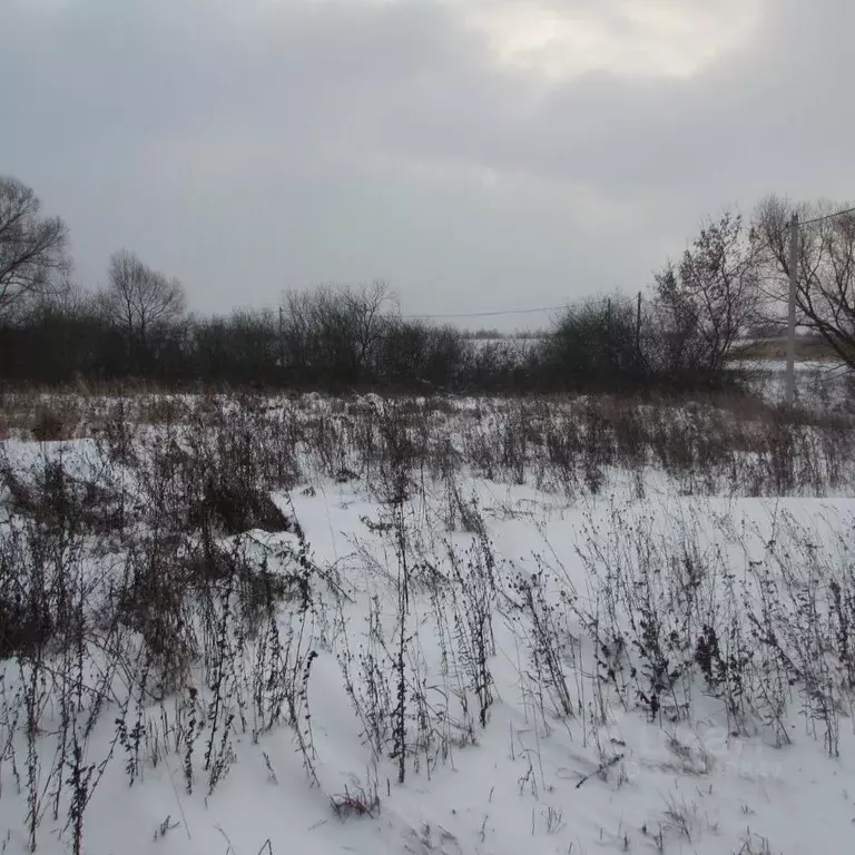 Участок в Московская область, Коломна городской округ, д. Сычево  ... - Фото 0