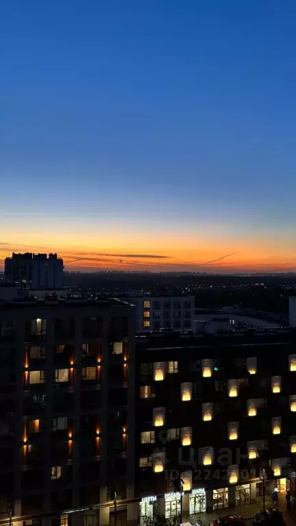 1-к кв. Московская область, Ленинский городской округ, д. Сапроново ... - Фото 2