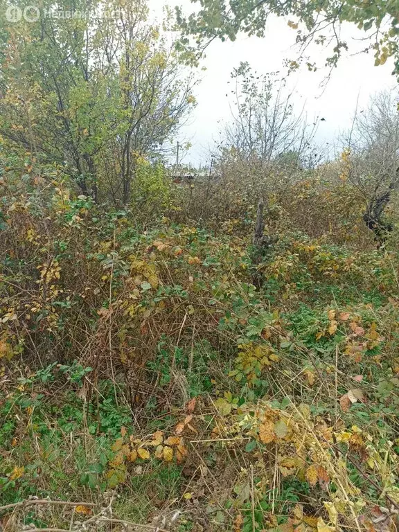 Участок в Ейск, СНТ Южное (5 м) - Фото 0