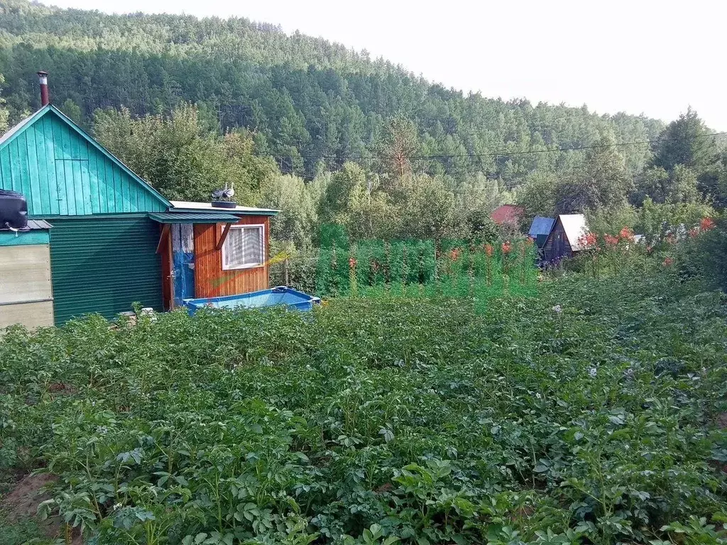 Дом в Забайкальский край, Читинский район, № 54 Радуга СНТ  (30 м) - Фото 0
