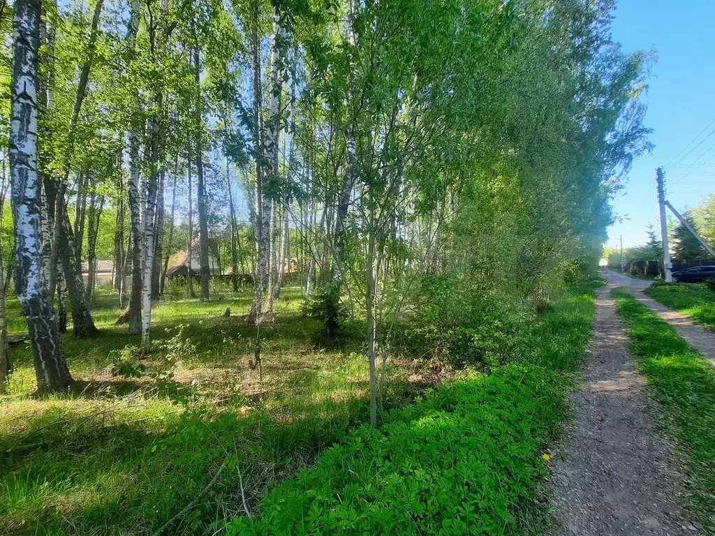 Участок 10 сот. (СНТ, ДНП) - Фото 0