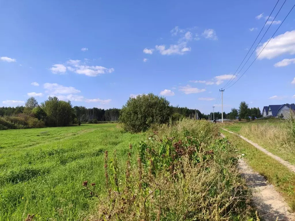 Участок в Московская область, Орехово-Зуевский городской округ, д. ... - Фото 1