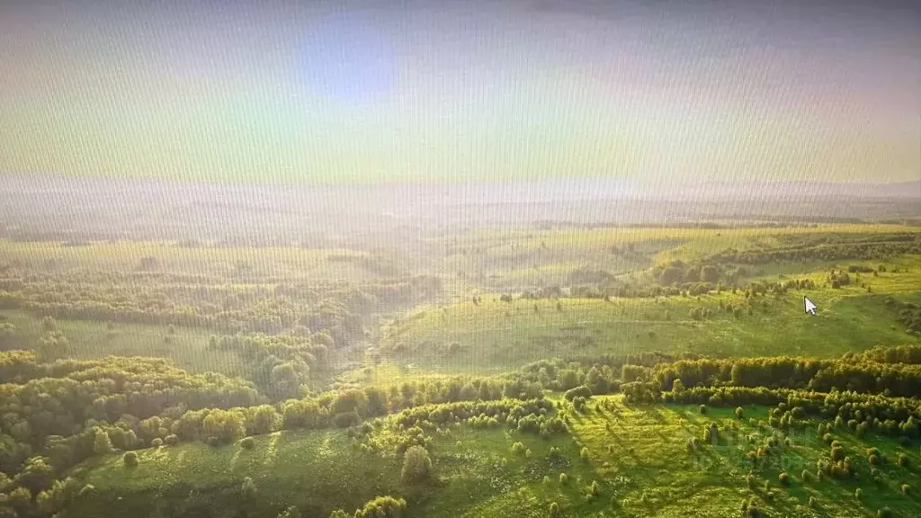 Участок в Алтайский край, Кытмановский район, пос. Кытманушка  (16.5 ... - Фото 2