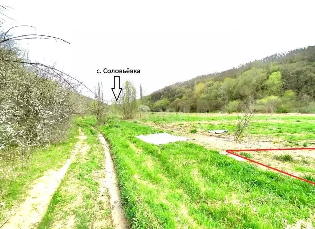 Участок в Крым, Симферопольский район, с. Мазанка  (17.0 сот.) - Фото 2