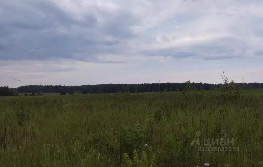 Участок в Московская область, Дмитровский муниципальный округ, д. ... - Фото 0