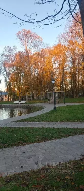 Дом в Псковская область, Печоры Каштановая ул., 4 (128 м) - Фото 1